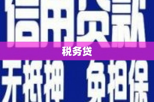 固原税务贷