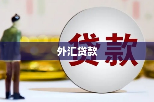 固原外汇贷款