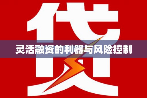固原灵活融资的利器与风险控制