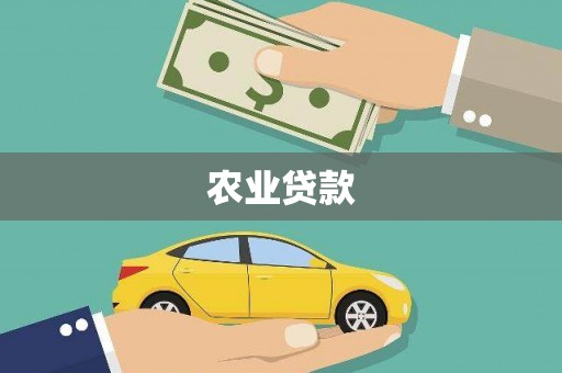 固原农业贷款