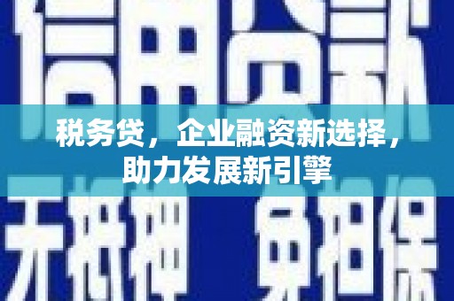 固原税务贷，企业融资新选择，助力发展新引擎
