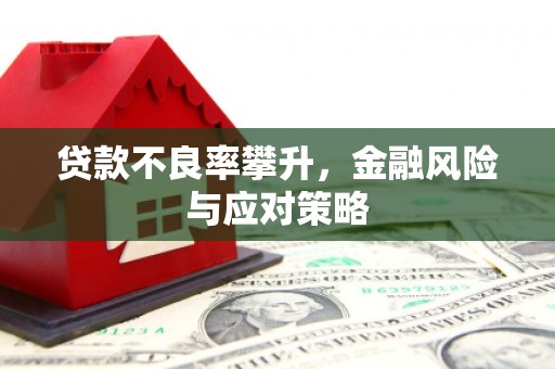 固原贷款不良率攀升，金融风险与应对策略