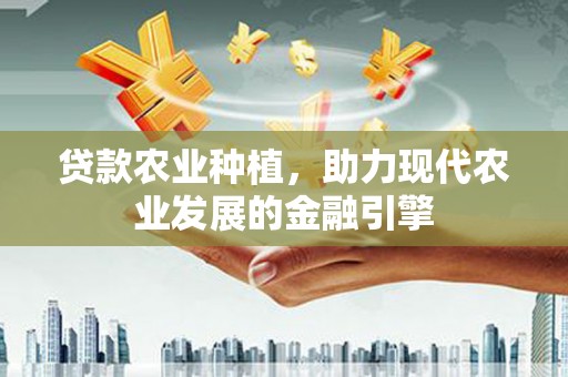 固原贷款农业种植，助力现代农业发展的金融引擎