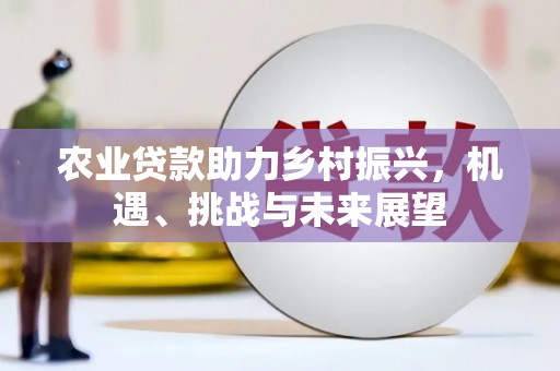 固原农业贷款助力乡村振兴，机遇、挑战与未来展望