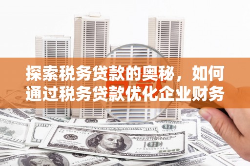 固原探索税务贷款的奥秘，如何通过税务贷款优化企业财务