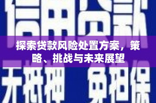 固原探索贷款风险处置方案，策略、挑战与未来展望