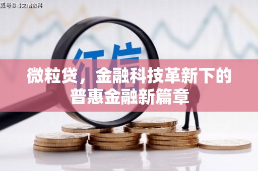 固原微粒贷，金融科技革新下的普惠金融新篇章