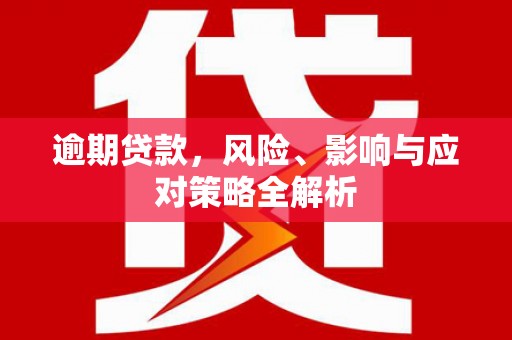 固原逾期贷款，风险、影响与应对策略全解析