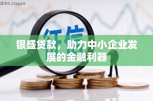 固原银盛贷款，助力中小企业发展的金融利器
