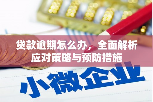 固原贷款逾期怎么办，全面解析应对策略与预防措施