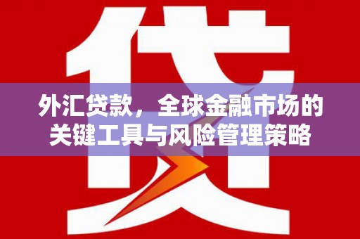 固原外汇贷款，全球金融市场的关键工具与风险管理策略