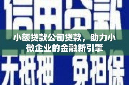 固原小额贷款公司贷款，助力小微企业的金融新引擎