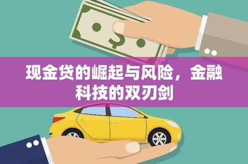 固原现金贷的崛起与风险，金融科技的双刃剑