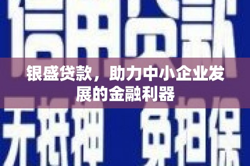 固原银盛贷款，助力中小企业发展的金融利器