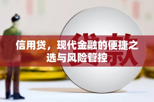 固原信用贷，现代金融的便捷之选与风险管控
