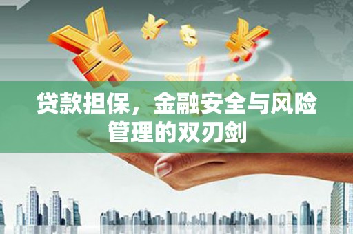 固原贷款担保，金融安全与风险管理的双刃剑