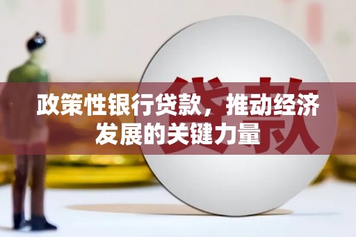固原政策性银行贷款，推动经济发展的关键力量