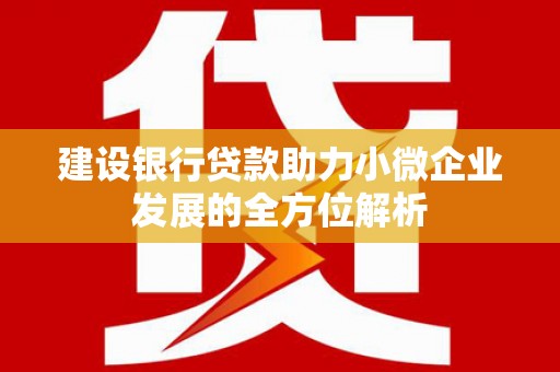 固原建设银行贷款助力小微企业发展的全方位解析