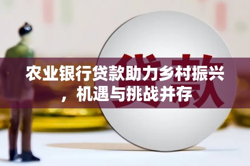 固原农业银行贷款助力乡村振兴，机遇与挑战并存