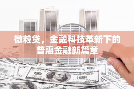 固原微粒贷，金融科技革新下的普惠金融新篇章