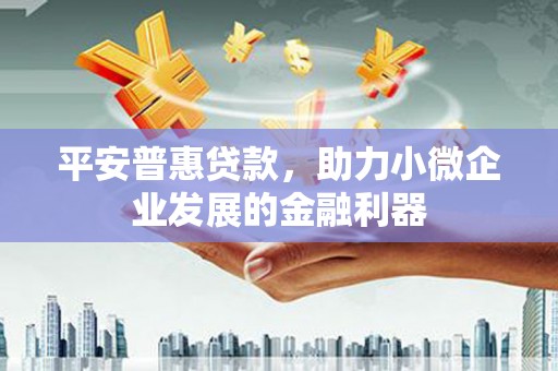 固原平安普惠贷款，助力小微企业发展的金融利器