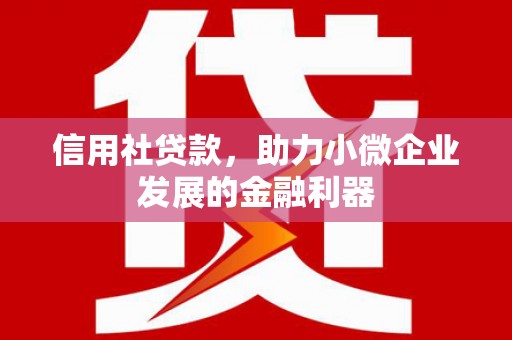 固原信用社贷款，助力小微企业发展的金融利器