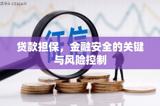 固原贷款担保，金融安全的关键与风险控制
