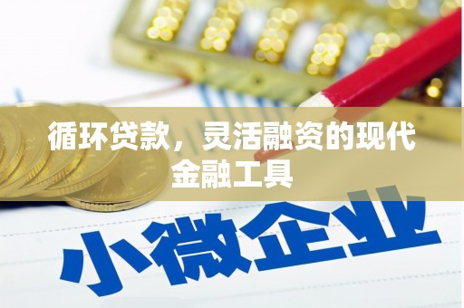 固原循环贷款，灵活融资的现代金融工具