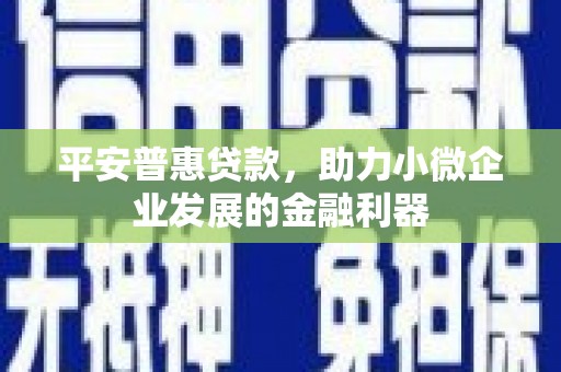 固原平安普惠贷款，助力小微企业发展的金融利器