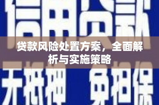 固原贷款风险处置方案，全面解析与实施策略